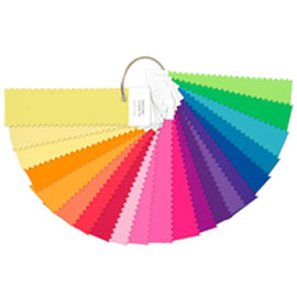 Pantone FFN100 螢光【紡織】尼龍鮮豔色組合色卡 / 組