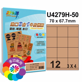 彩之舞 進口3合1牛皮標籤-12格直角 50張/包 U4279H-50