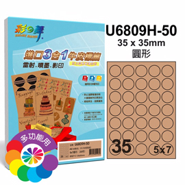 彩之舞 進口3合1牛皮標籤-35格圓形 50張/包 U6809H-50