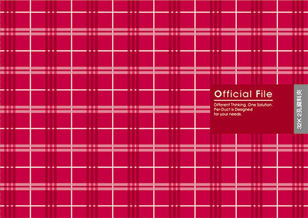 博崴 AO2031 32K布格紋資料卡夾-紅 / 個