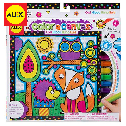【美國ALEX】兒童著色畫布-貓頭鷹 / 盒
